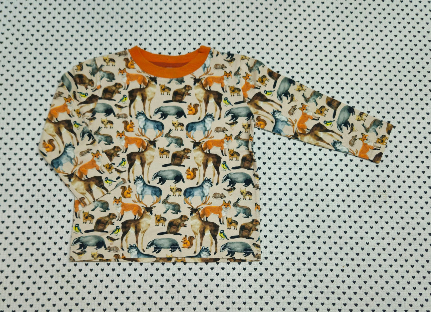 Kids | Junge | Unisex | Langarmshirt (Alana), Gr. 98/104
