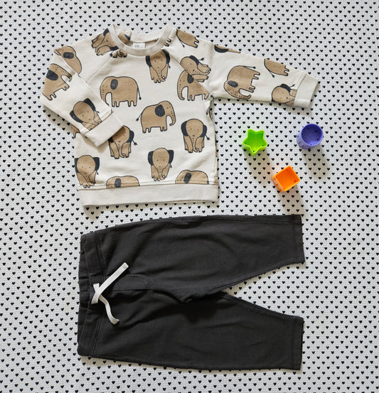 Minis Junge | Unisex | Set: Pullover von H&M & Trainerhose von Gray Label, Gr. 80