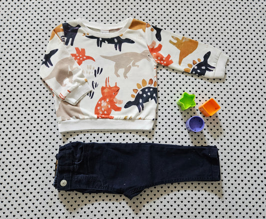 Minis Junge | Set: Pullover und Hose, Gr. 80