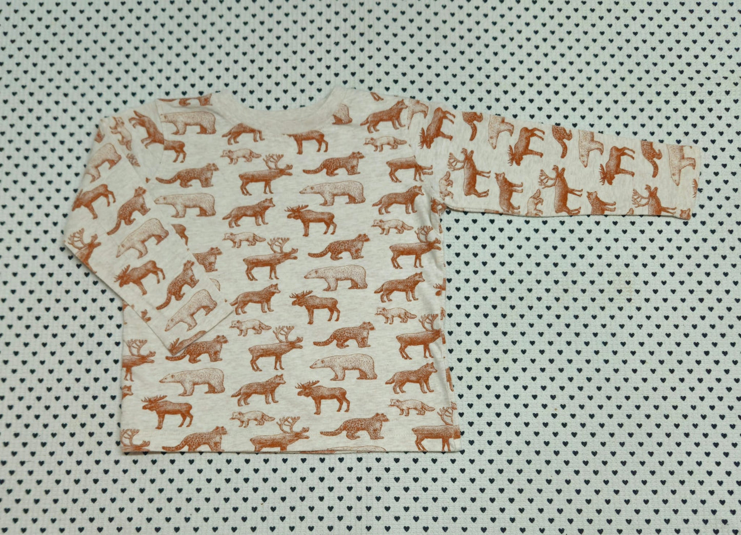 Kids | Junge | Unisex | Langarmshirt (Alana), Gr. 104