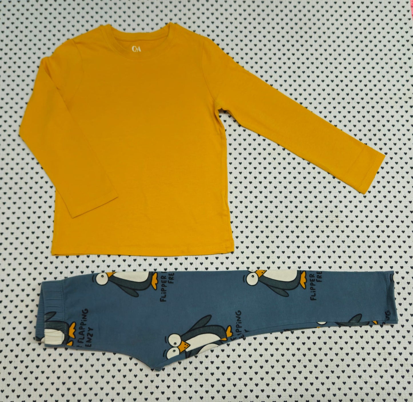 Kids | Junge | Unisex | 2-tlg. Set: Langarmshirt (C&A) und Leggings (Zara), Gr. 104/110