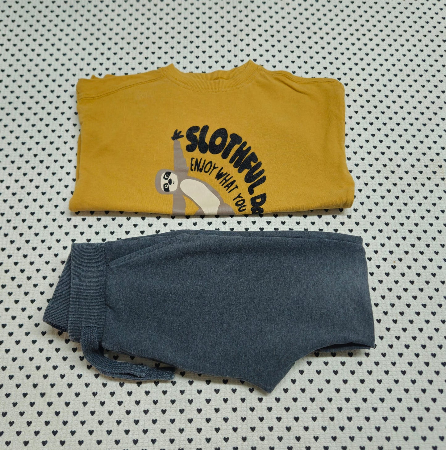 Kids | Junge | Unisex | 2-tlg. Set: Langarmshirt (Zara) und Trainerhose (Next), Gr. 104