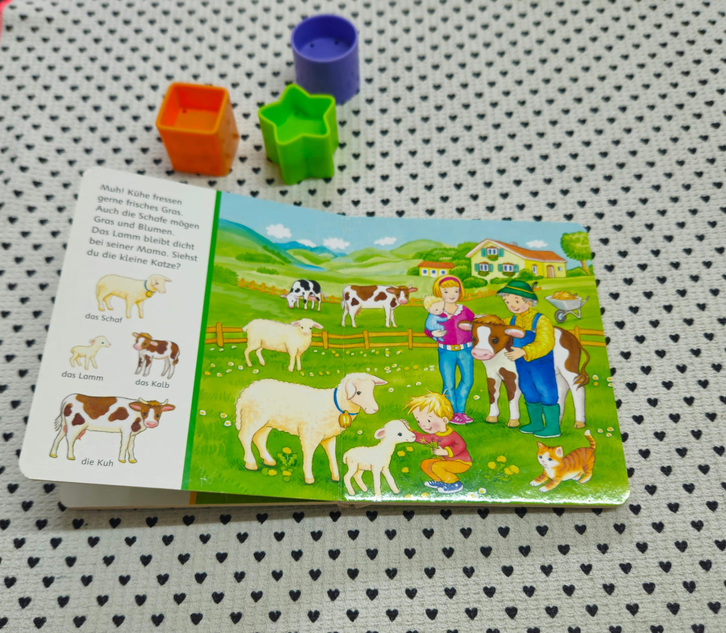 Spielsachen | Bücher | Mein erstes Sachen suchen