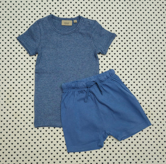 Minis Junge | Unisex | 2-tlg. Set: T-Shirt (Wheat) und Shorts (H&M), Gr. 80