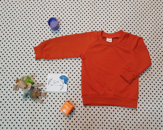 Minis Junge | Unisex | Pullover Langarm von Patpat, Gr. 68/74